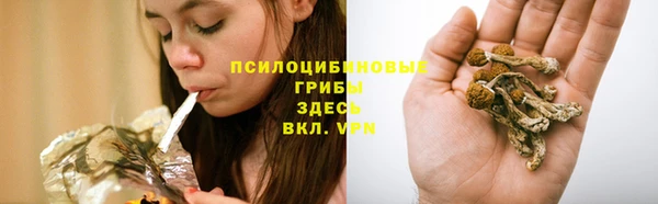 ECSTASY Баксан
