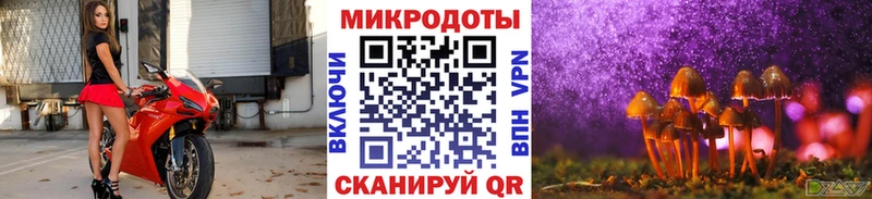 Галлюциногенные грибы Psilocybe  хочу   Лабинск 